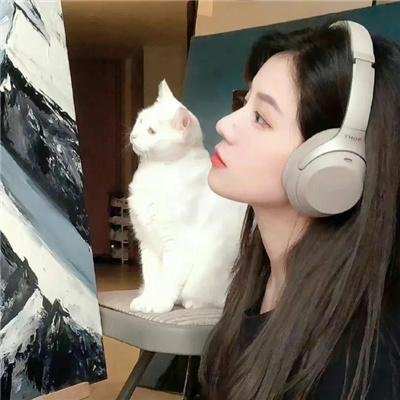 滑稽夫人